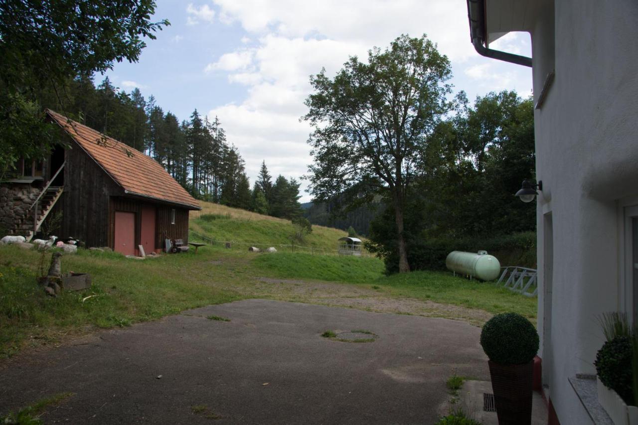 Zur Alten Oele - Hochwertig Und Familienfreundlich Lenzkirch Esterno foto